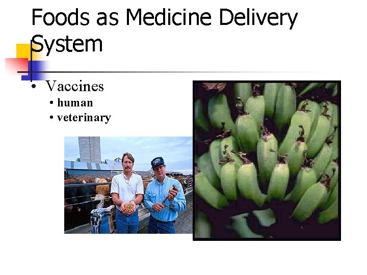 Foods as Medicine Delivery System • Vaccines • human • veterinary 