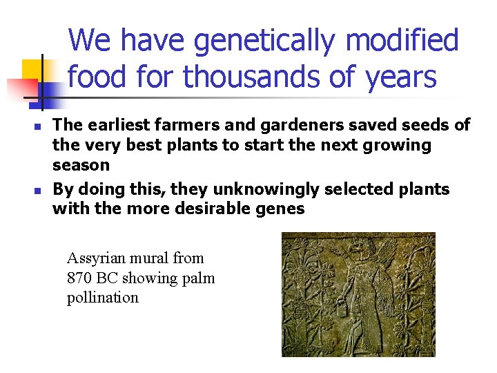 We have genetically modified food for thousands of years n n The earliest farmers
