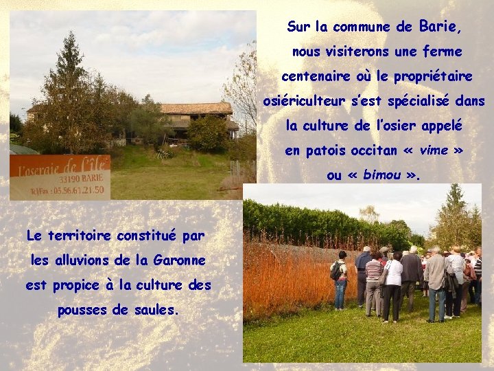 Sur la commune de Barie, nous visiterons une ferme centenaire où le propriétaire osiériculteur