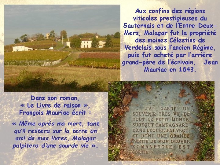 Aux confins des régions viticoles prestigieuses du Sauternais et de l’Entre-Deux. Mers, Malagar fut