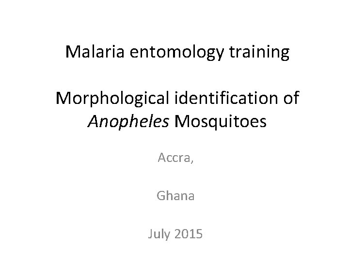 Malaria entomology training Morphological identification of Anopheles Mosquitoes Accra, Ghana July 2015 