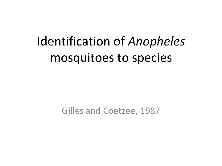 Identification of Anopheles mosquitoes to species Gilles and Coetzee, 1987 