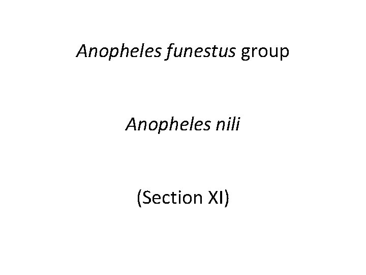 Anopheles funestus group Anopheles nili (Section XI) 