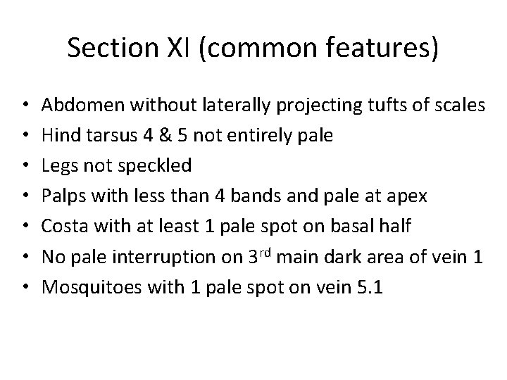 Section XI (common features) • • Abdomen without laterally projecting tufts of scales Hind