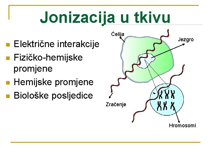 Jonizacija u tkivu Ćelija n n Električne interakcije Fizičko-hemijske promjene Hemijske promjene Biološke posljedice