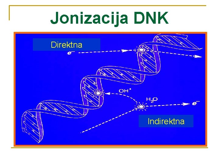 Jonizacija DNK Direktna Indirektna 