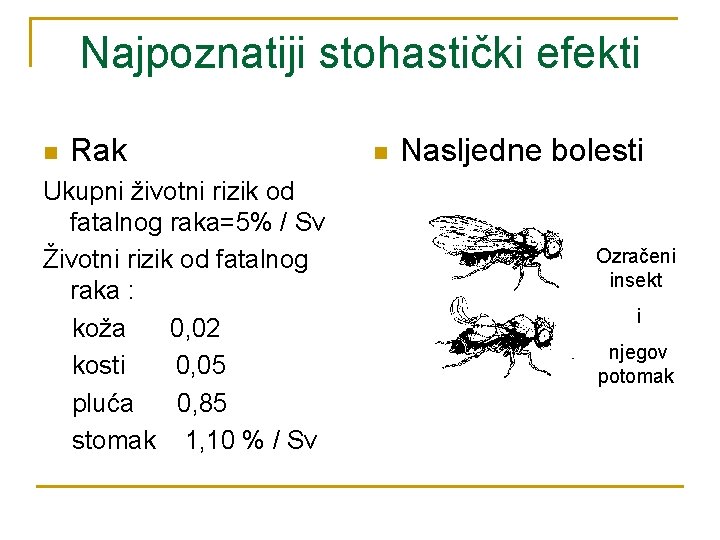 Najpoznatiji stohastički efekti n Rak Ukupni životni rizik od fatalnog raka=5% / Sv Životni