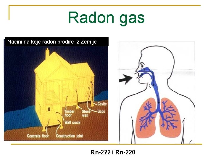 Radon gas Načini na koje radon prodire iz Zemlje Rn-222 i Rn-220 