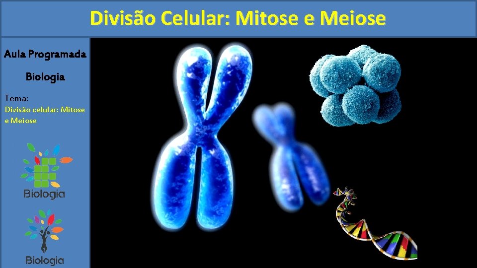 Divisão Celular: Mitose e Meiose Aula Programada Biologia Tema: Divisão celular: Mitose e Meiose