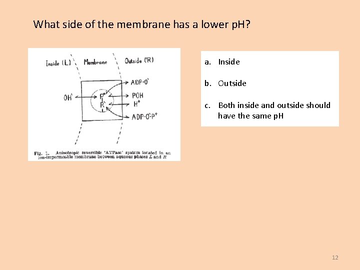 What side of the membrane has a lower p. H? a. Inside b. Outside