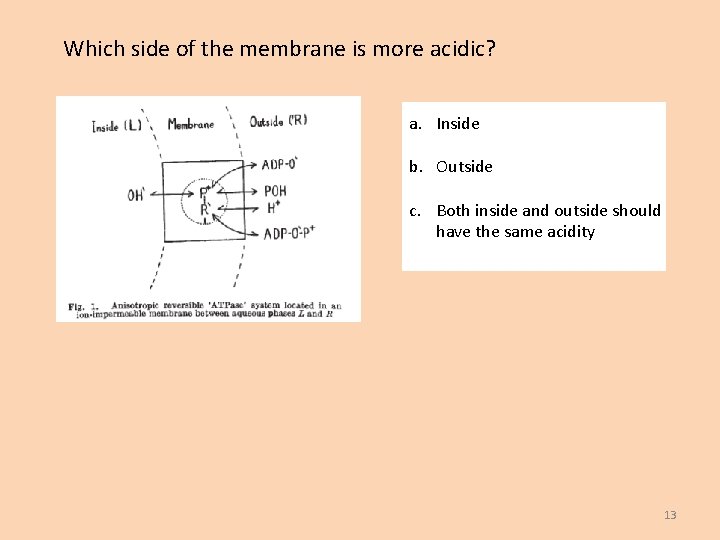 Which side of the membrane is more acidic? a. Inside b. Outside c. Both