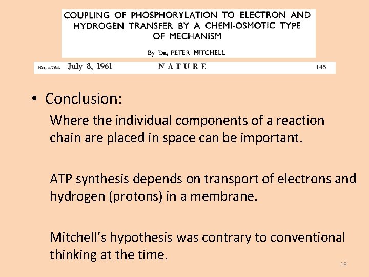  • Conclusion: Where the individual components of a reaction chain are placed in