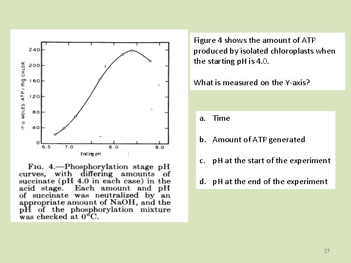 Figure 4 shows the amount of ATP produced by isolated chloroplasts when the starting