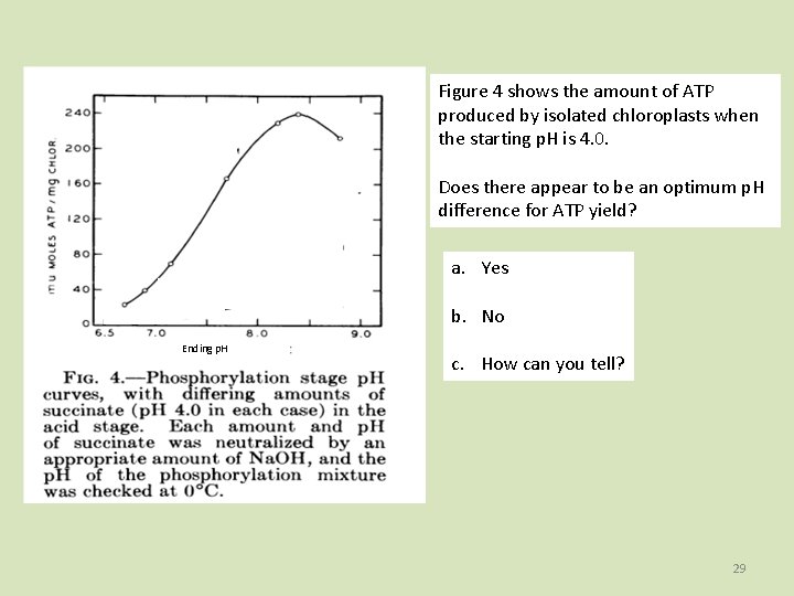 Figure 4 shows the amount of ATP produced by isolated chloroplasts when the starting