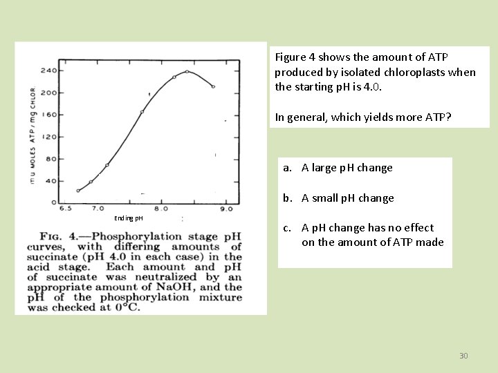 Figure 4 shows the amount of ATP produced by isolated chloroplasts when the starting