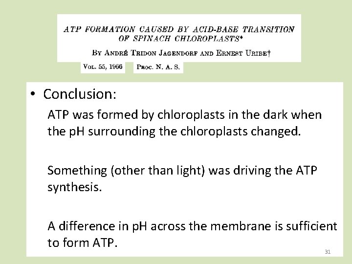  • Conclusion: ATP was formed by chloroplasts in the dark when the p.