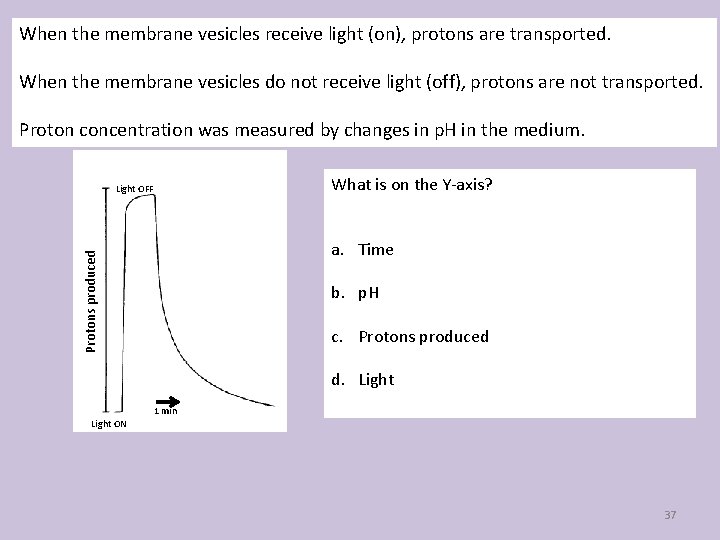 When the membrane vesicles receive light (on), protons are transported. When the membrane vesicles