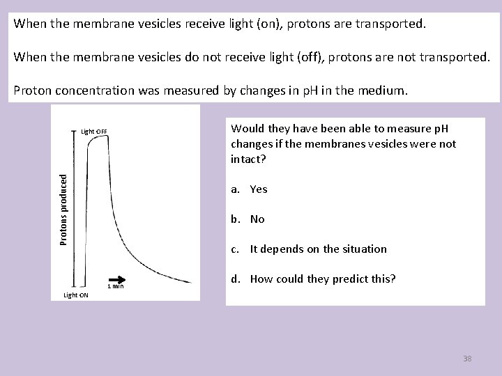 When the membrane vesicles receive light (on), protons are transported. When the membrane vesicles