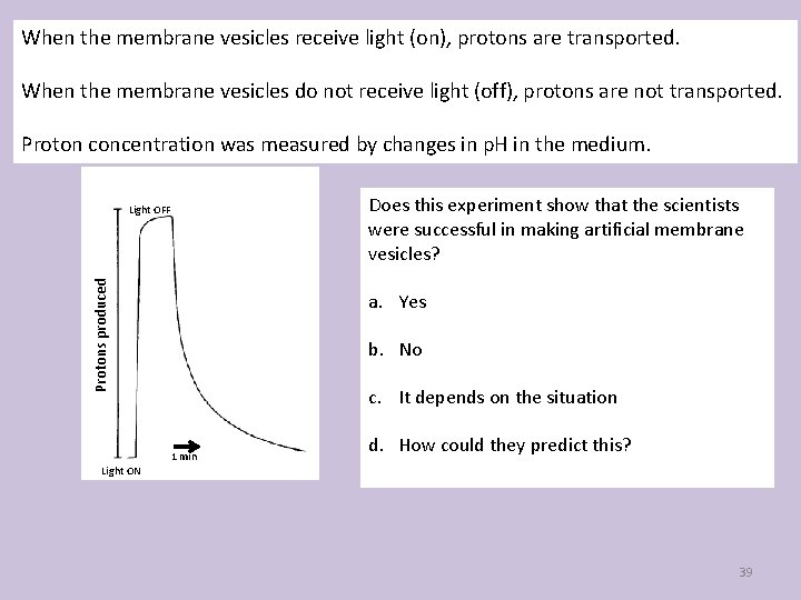 When the membrane vesicles receive light (on), protons are transported. When the membrane vesicles