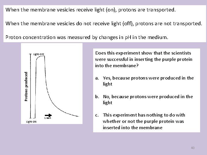 When the membrane vesicles receive light (on), protons are transported. When the membrane vesicles