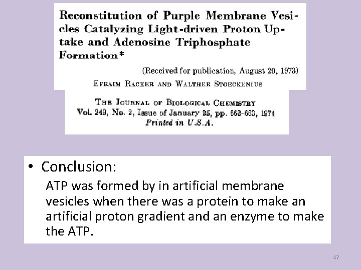 • Conclusion: ATP was formed by in artificial membrane vesicles when there was