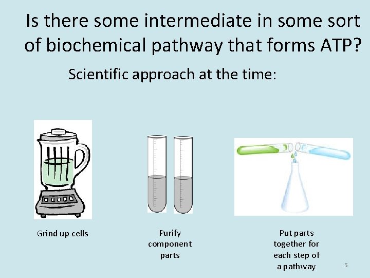 Is there some intermediate in some sort of biochemical pathway that forms ATP? Scientific