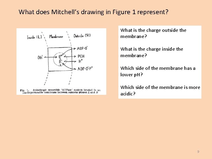 What does Mitchell’s drawing in Figure 1 represent? What is the charge outside the