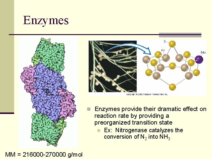 Enzymes n Enzymes provide their dramatic effect on reaction rate by providing a preorganized