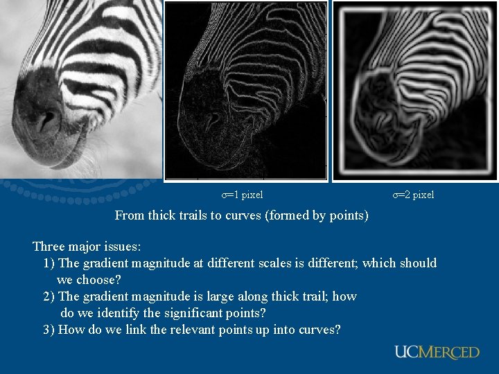 σ=1 pixel σ=2 pixel From thick trails to curves (formed by points) Three major