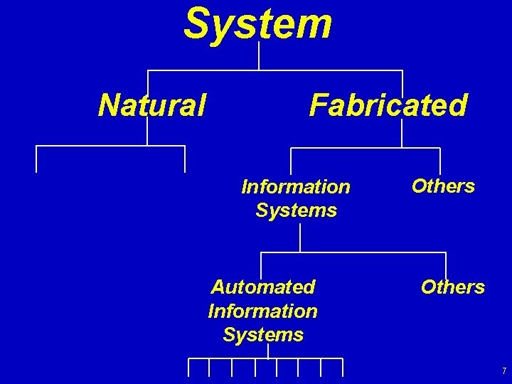 System Natural Fabricated Information Systems Automated Information Systems Others 7 