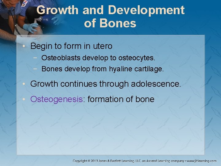 Growth and Development of Bones • Begin to form in utero − Osteoblasts develop Growth and Development of Bones • Begin to form in utero − Osteoblasts develop