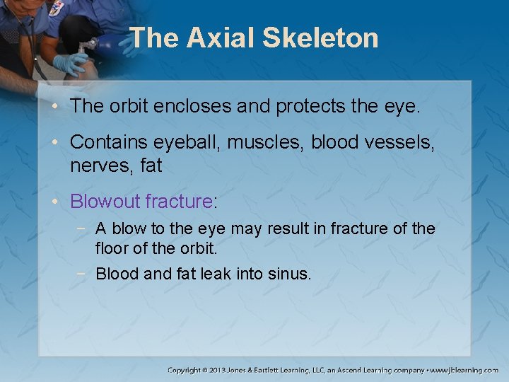 The Axial Skeleton • The orbit encloses and protects the eye. • Contains eyeball, The Axial Skeleton • The orbit encloses and protects the eye. • Contains eyeball,