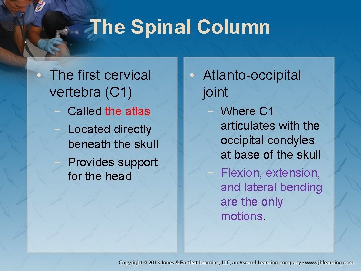 The Spinal Column • The first cervical vertebra (C 1) − Called the atlas The Spinal Column • The first cervical vertebra (C 1) − Called the atlas