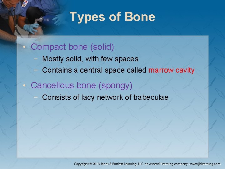 Types of Bone • Compact bone (solid) − Mostly solid, with few spaces − Types of Bone • Compact bone (solid) − Mostly solid, with few spaces −
