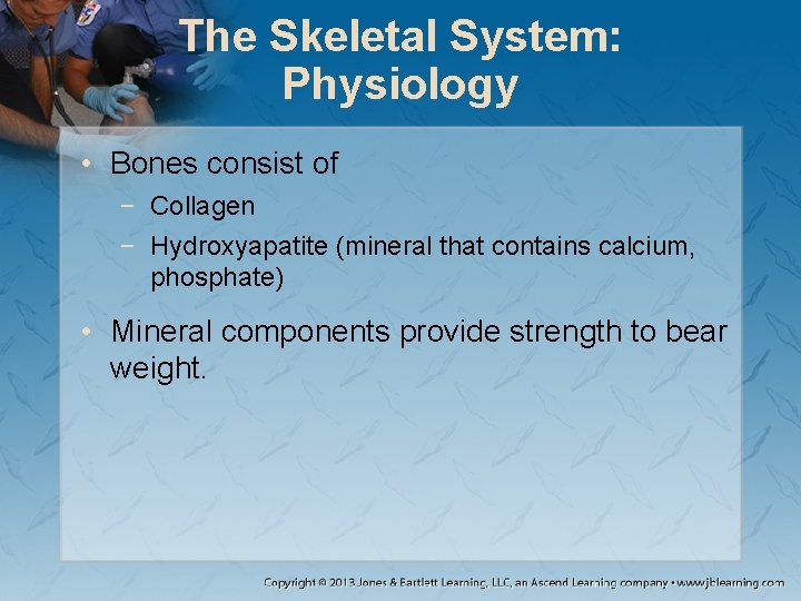 The Skeletal System: Physiology • Bones consist of − Collagen − Hydroxyapatite (mineral that The Skeletal System: Physiology • Bones consist of − Collagen − Hydroxyapatite (mineral that
