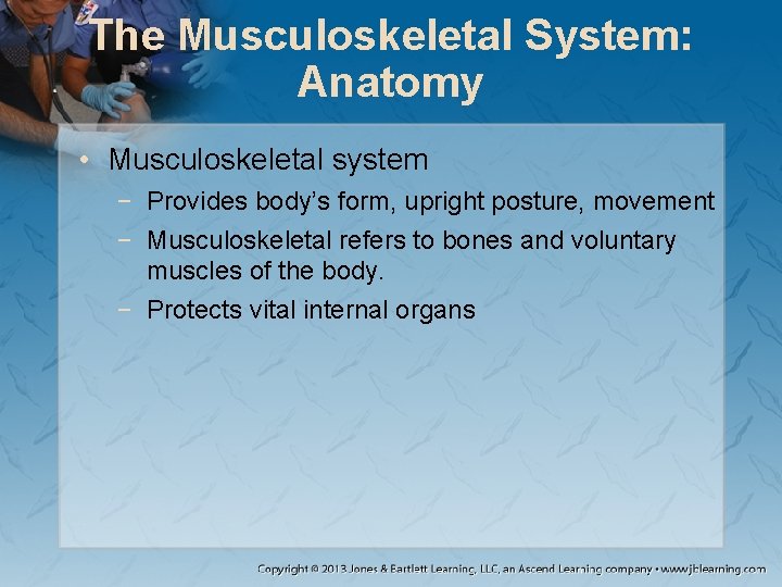 The Musculoskeletal System: Anatomy • Musculoskeletal system − Provides body’s form, upright posture, movement The Musculoskeletal System: Anatomy • Musculoskeletal system − Provides body’s form, upright posture, movement