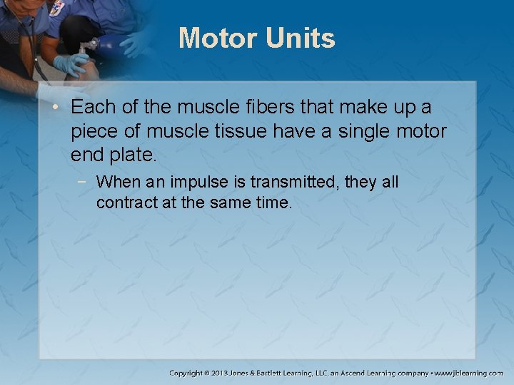 Motor Units • Each of the muscle fibers that make up a piece of Motor Units • Each of the muscle fibers that make up a piece of