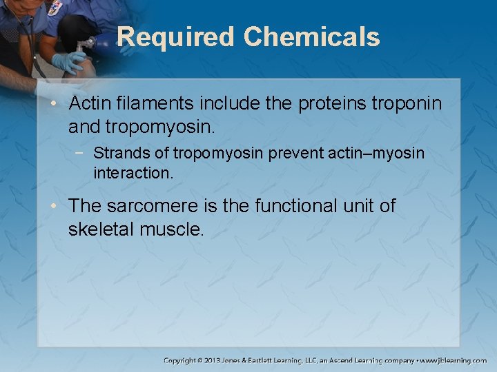 Required Chemicals • Actin filaments include the proteins troponin and tropomyosin. − Strands of Required Chemicals • Actin filaments include the proteins troponin and tropomyosin. − Strands of