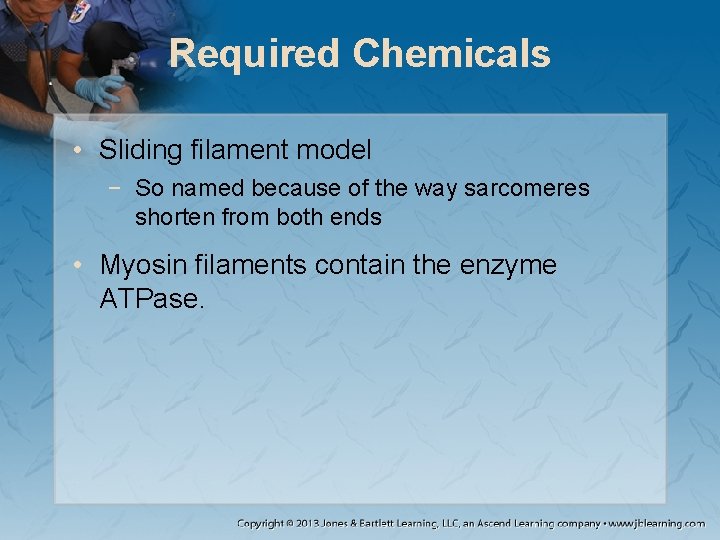 Required Chemicals • Sliding filament model − So named because of the way sarcomeres Required Chemicals • Sliding filament model − So named because of the way sarcomeres