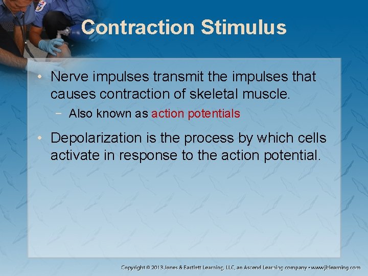 Contraction Stimulus • Nerve impulses transmit the impulses that causes contraction of skeletal muscle. Contraction Stimulus • Nerve impulses transmit the impulses that causes contraction of skeletal muscle.