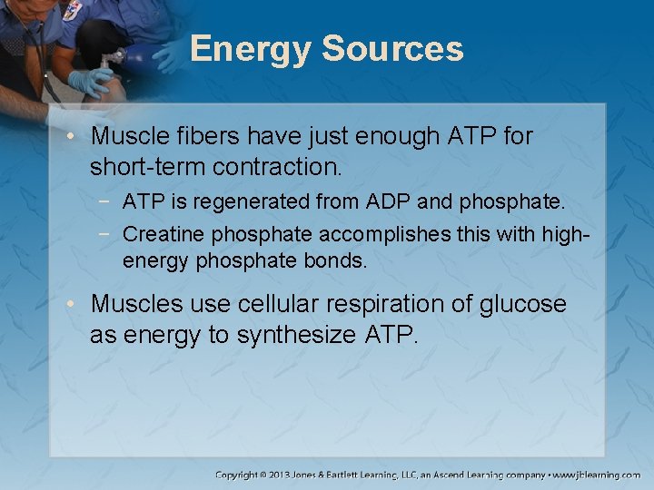 Energy Sources • Muscle fibers have just enough ATP for short-term contraction. − ATP Energy Sources • Muscle fibers have just enough ATP for short-term contraction. − ATP