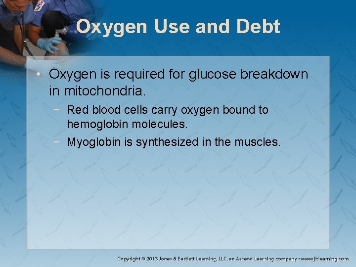 Oxygen Use and Debt • Oxygen is required for glucose breakdown in mitochondria. − Oxygen Use and Debt • Oxygen is required for glucose breakdown in mitochondria. −