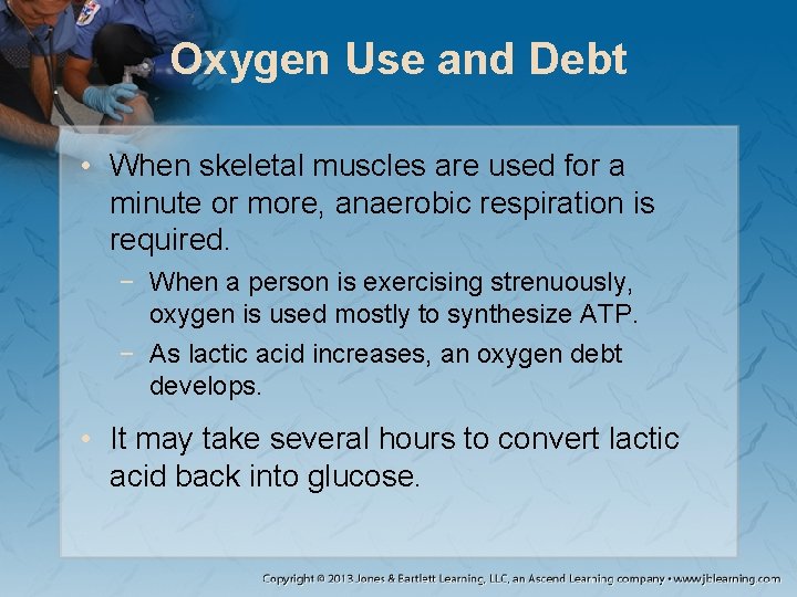 Oxygen Use and Debt • When skeletal muscles are used for a minute or Oxygen Use and Debt • When skeletal muscles are used for a minute or