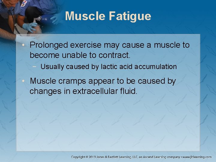 Muscle Fatigue • Prolonged exercise may cause a muscle to become unable to contract. Muscle Fatigue • Prolonged exercise may cause a muscle to become unable to contract.