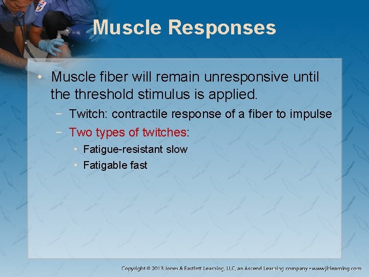 Muscle Responses • Muscle fiber will remain unresponsive until the threshold stimulus is applied. Muscle Responses • Muscle fiber will remain unresponsive until the threshold stimulus is applied.