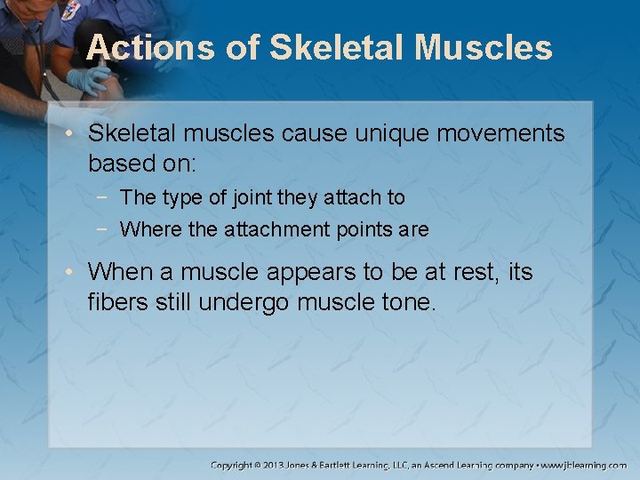 Actions of Skeletal Muscles • Skeletal muscles cause unique movements based on: − The Actions of Skeletal Muscles • Skeletal muscles cause unique movements based on: − The