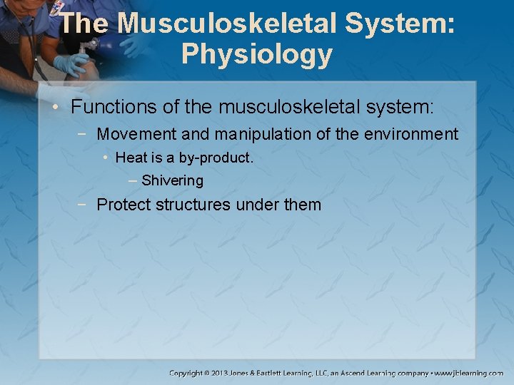 The Musculoskeletal System: Physiology • Functions of the musculoskeletal system: − Movement and manipulation The Musculoskeletal System: Physiology • Functions of the musculoskeletal system: − Movement and manipulation