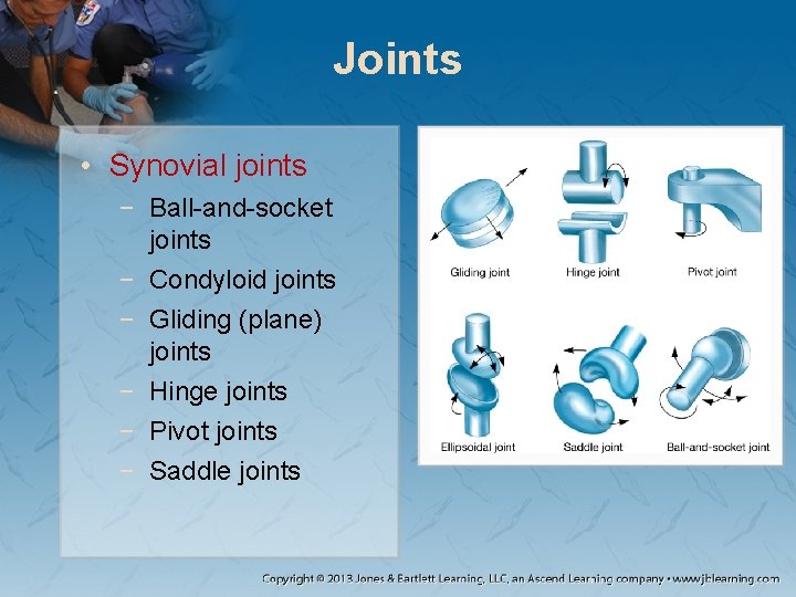 Joints • Synovial joints − Ball-and-socket joints − Condyloid joints − Gliding (plane) joints Joints • Synovial joints − Ball-and-socket joints − Condyloid joints − Gliding (plane) joints