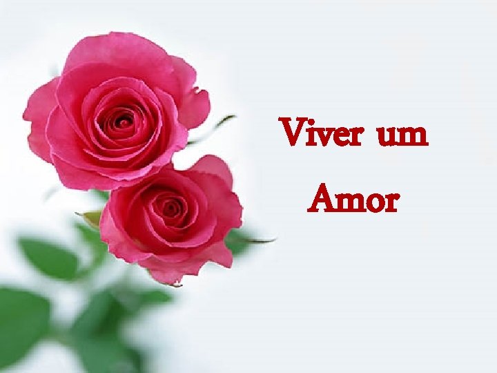 Viver um Amor 