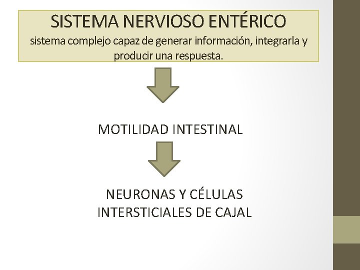 SISTEMA NERVIOSO ENTÉRICO sistema complejo capaz de generar información, integrarla y producir una respuesta.